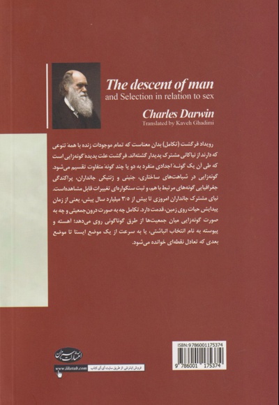 تبار انسان
